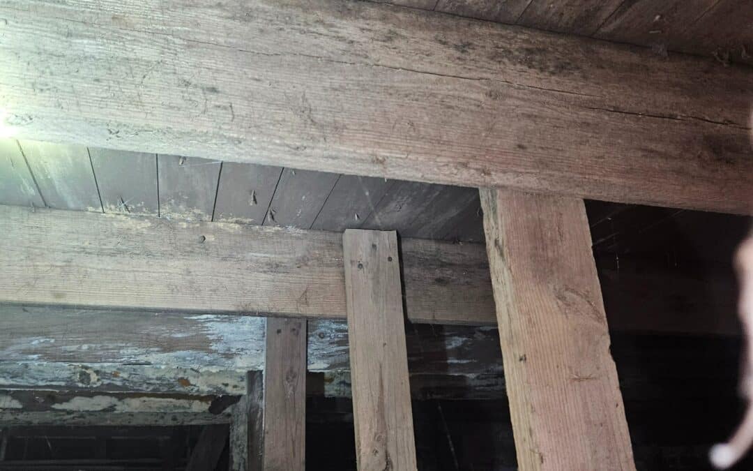 Inspectors look for moisture and visible conditions that may support microbial growth