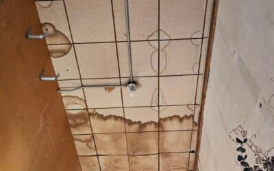 Do Sellers Have to Fix Everything After an Inspection in Texas?